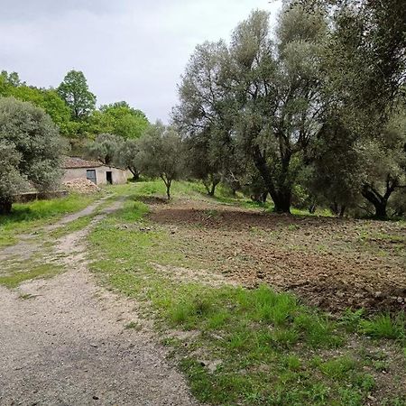 B&B Le Casette SantʼOnofrio Eksteriør bilde